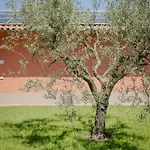 Borgo Sant'anna Lägenhet