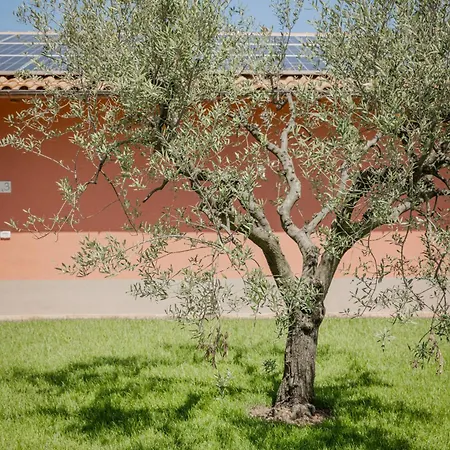 Borgo Sant'anna 公寓
