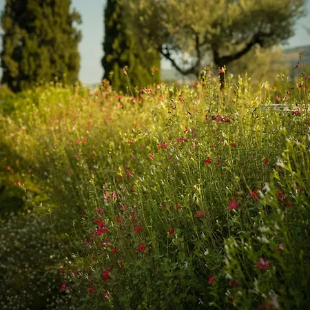 Borgo Sant'anna Apartment Bettona